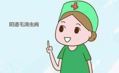ǵ˸Ʋ